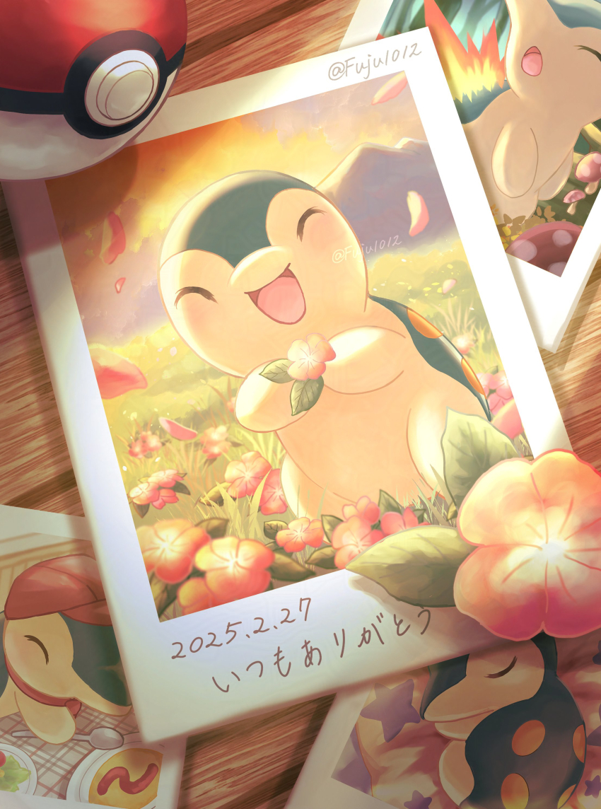 Cyndaquil (Nintendo) Rule 34 Image
