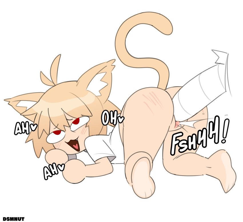Neco-Arc (Tsukihime) Rule 34 Image