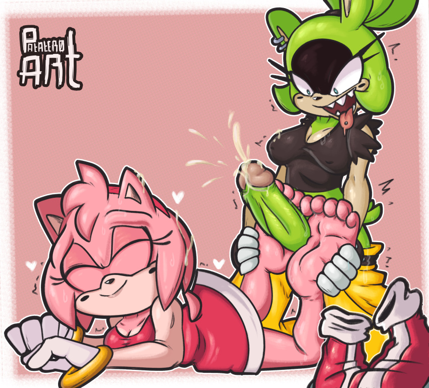 Amy Rose (Sonic (Series)) Rule 34 Image