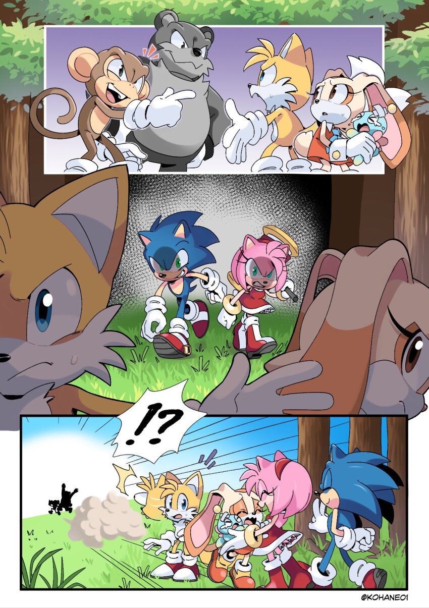 Amy Rose (Sega) Rule 34 Image