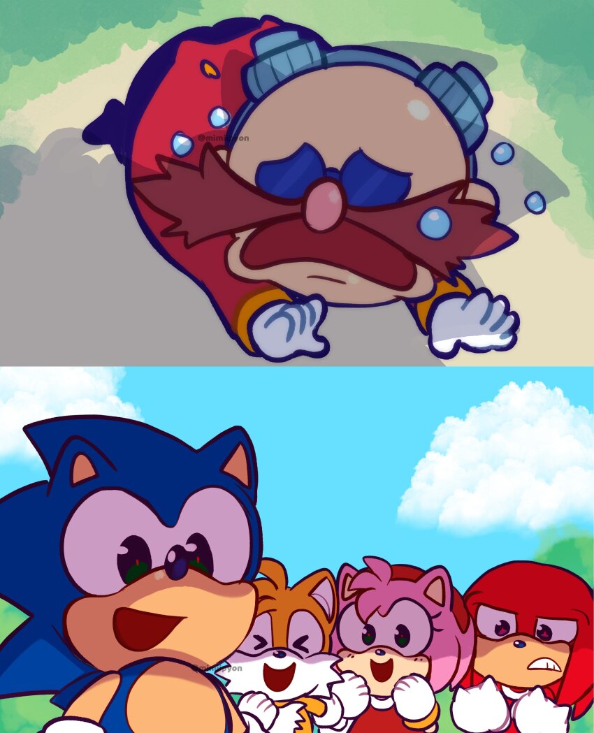Amy Rose (Sega) Rule 34 Image