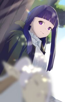 Fern (Sousou No Frieren) Rule 34 Image