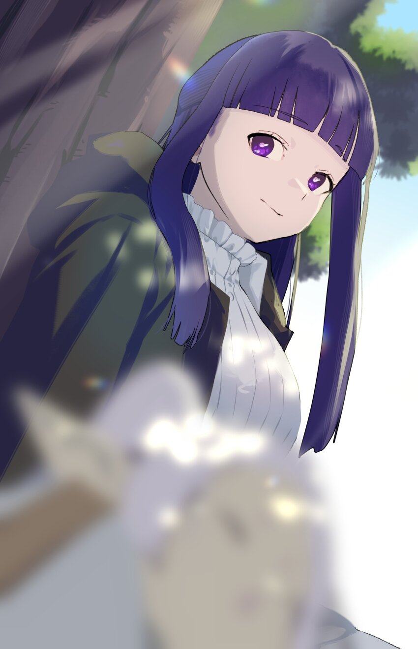 Fern (Sousou No Frieren) Rule 34 Image