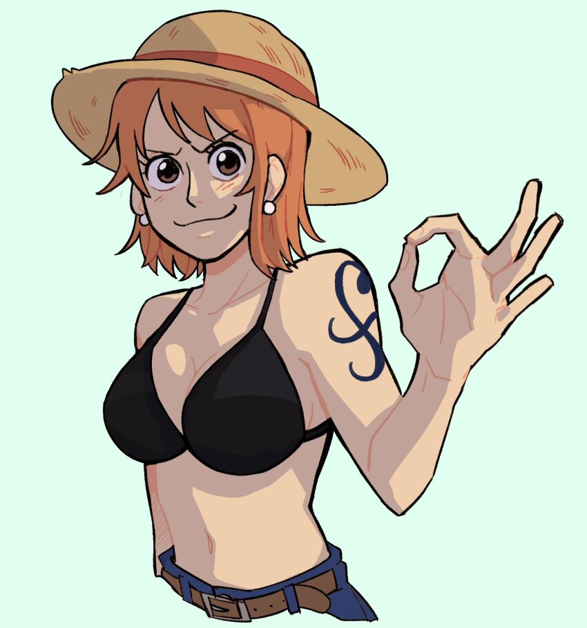 Nami (One Piece) Rule 34 Image