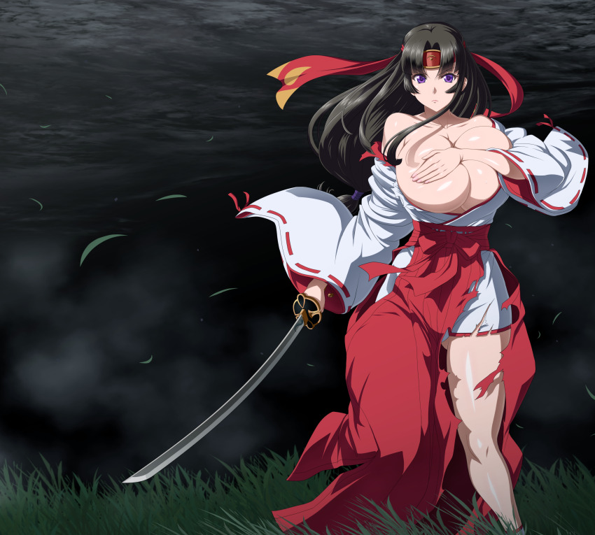 Queen'S Blade Rule 34 Image