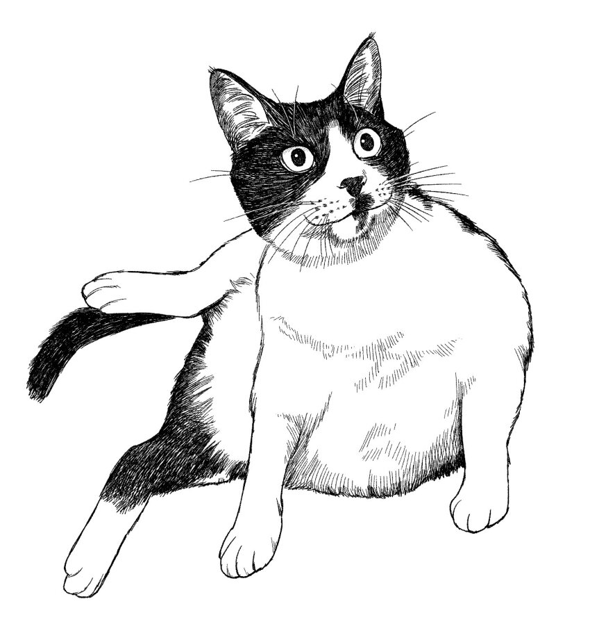 Original Rule 34 Image