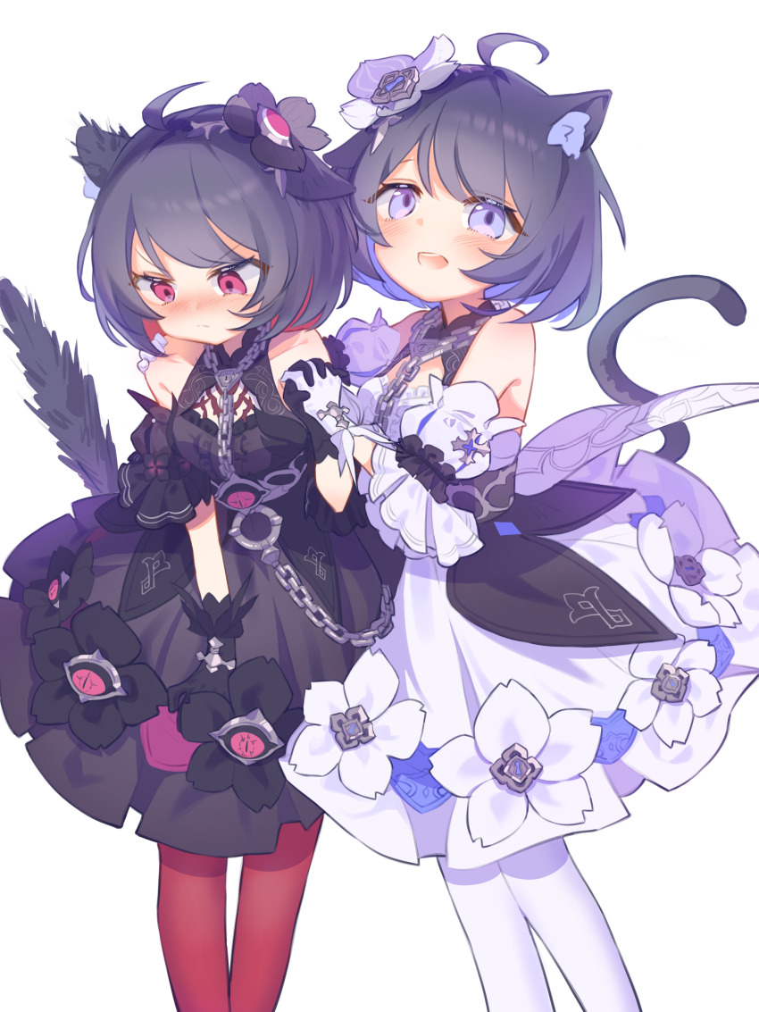 Seele Vollerei (Honkai (Series)) Rule 34 Image