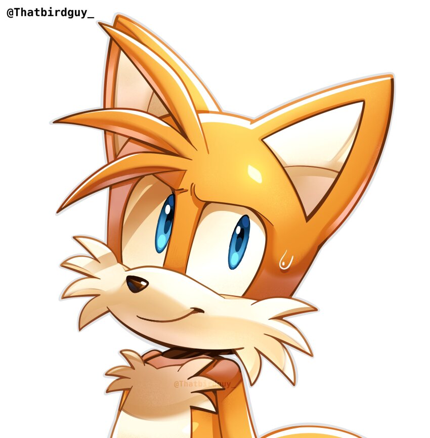Sonic (Series) Rule 34 Image