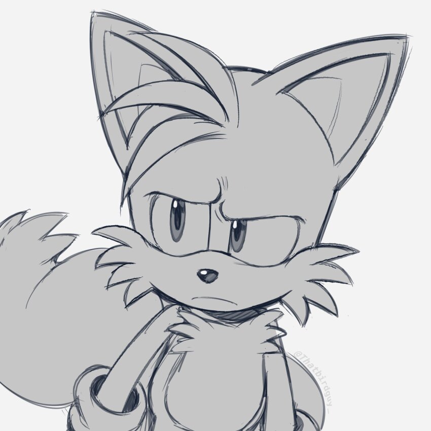 Sonic (Series) Rule 34 Image