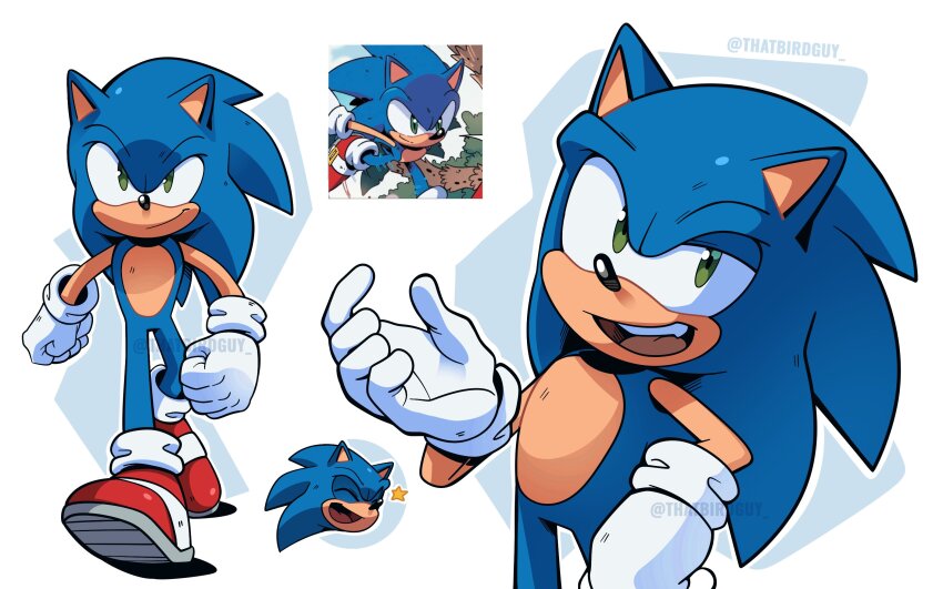 Sonic The Hedgehog (Sonic (Series)) Rule 34 Image