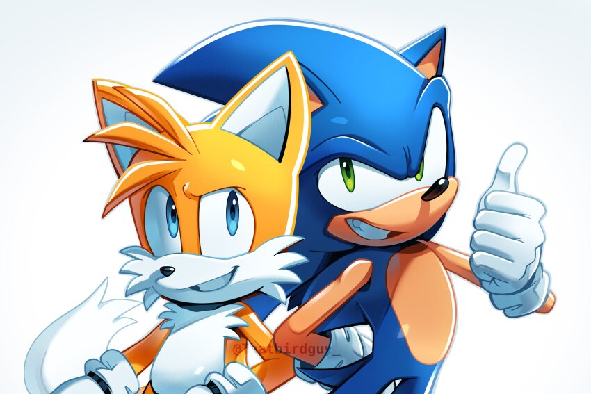 Sonic The Hedgehog (Sonic (Series)) Rule 34 Image