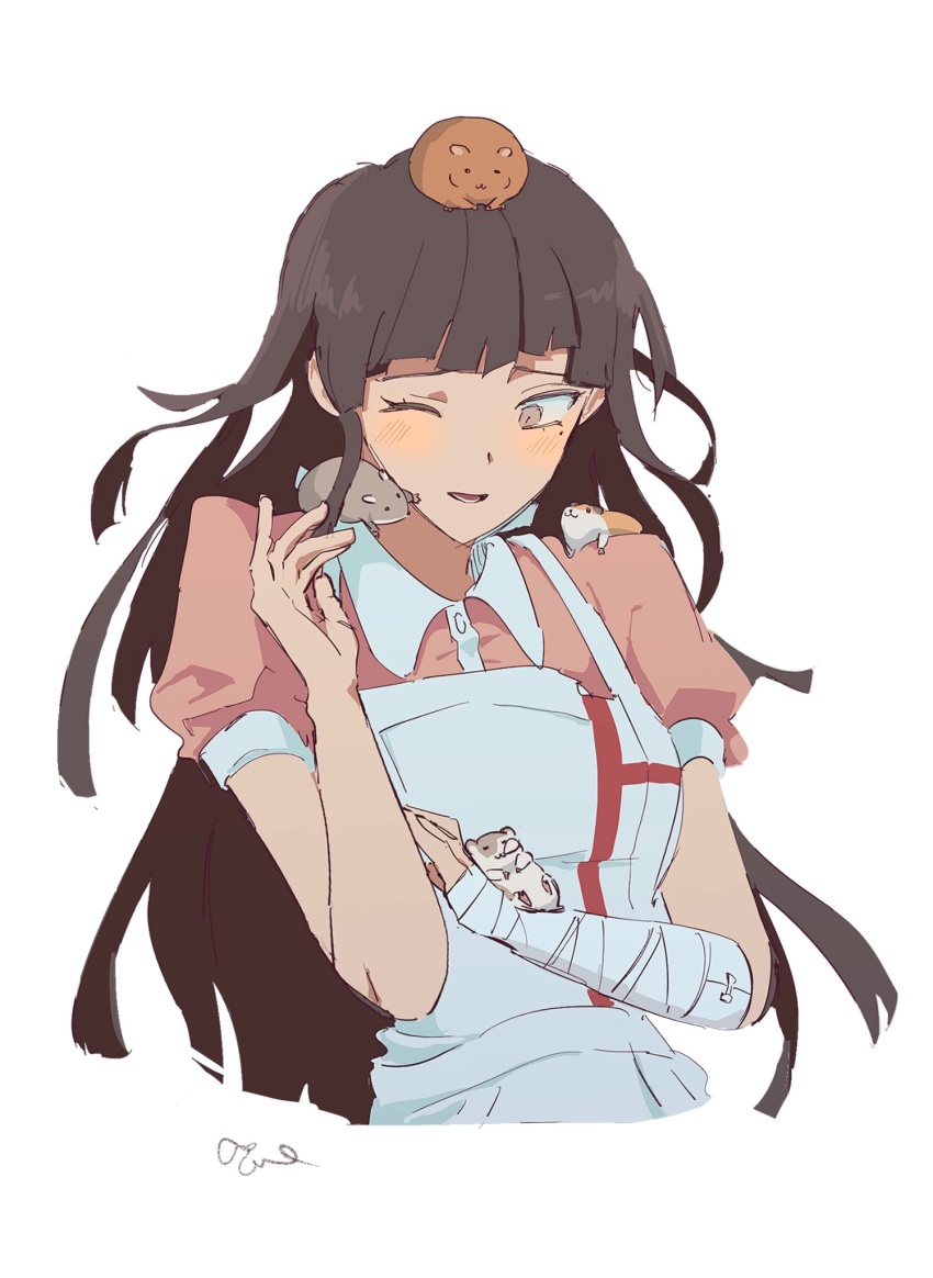 Tsumiki Mikan (Danganronpa (Series)) Rule 34 Image