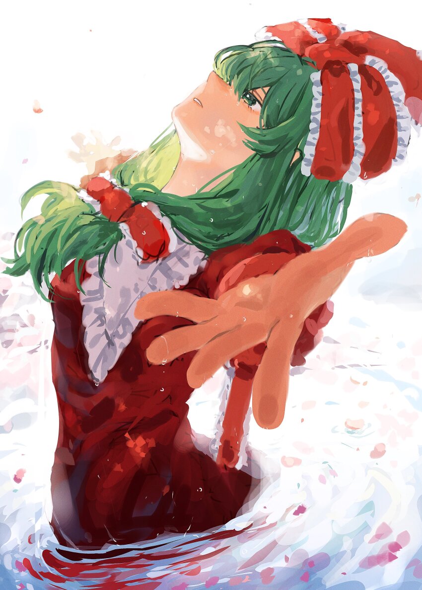 Kagiyama Hina (Touhou) Rule 34 Image