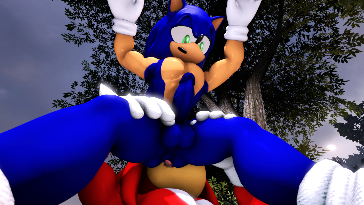 Sonic (Series) Rule 34 Image
