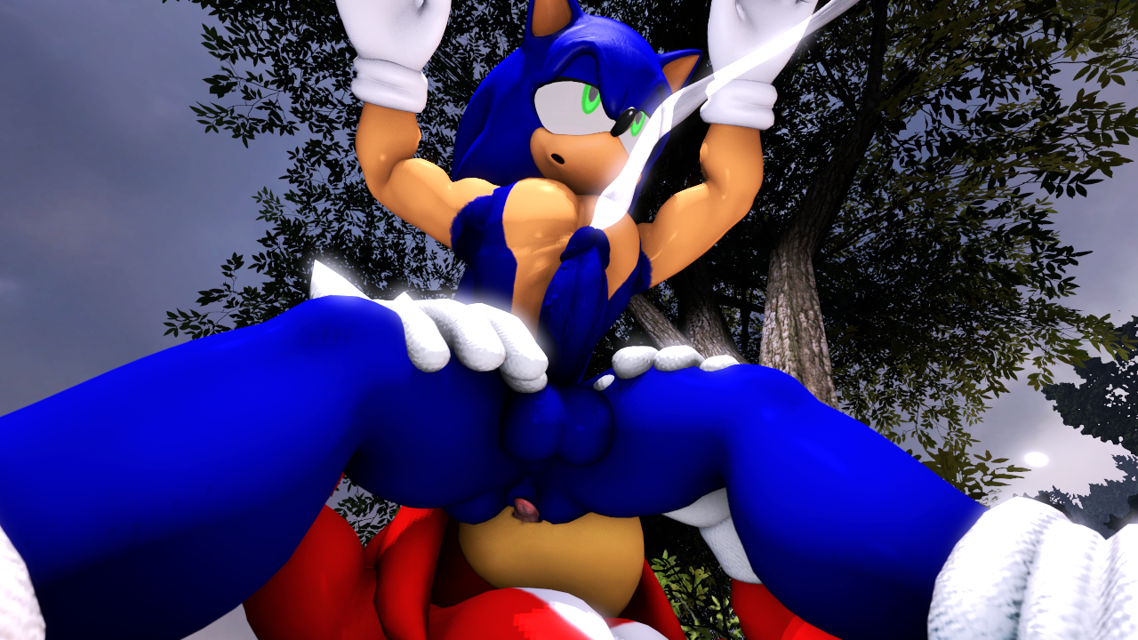 Sonic (Series) Rule 34 Image