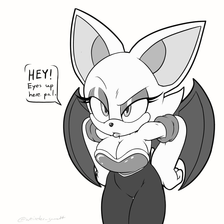 Rouge The Bat (Sonic (Series)) Rule 34 Image