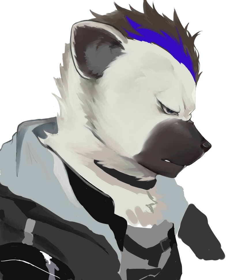Spot (Arknights) Rule 34 Image