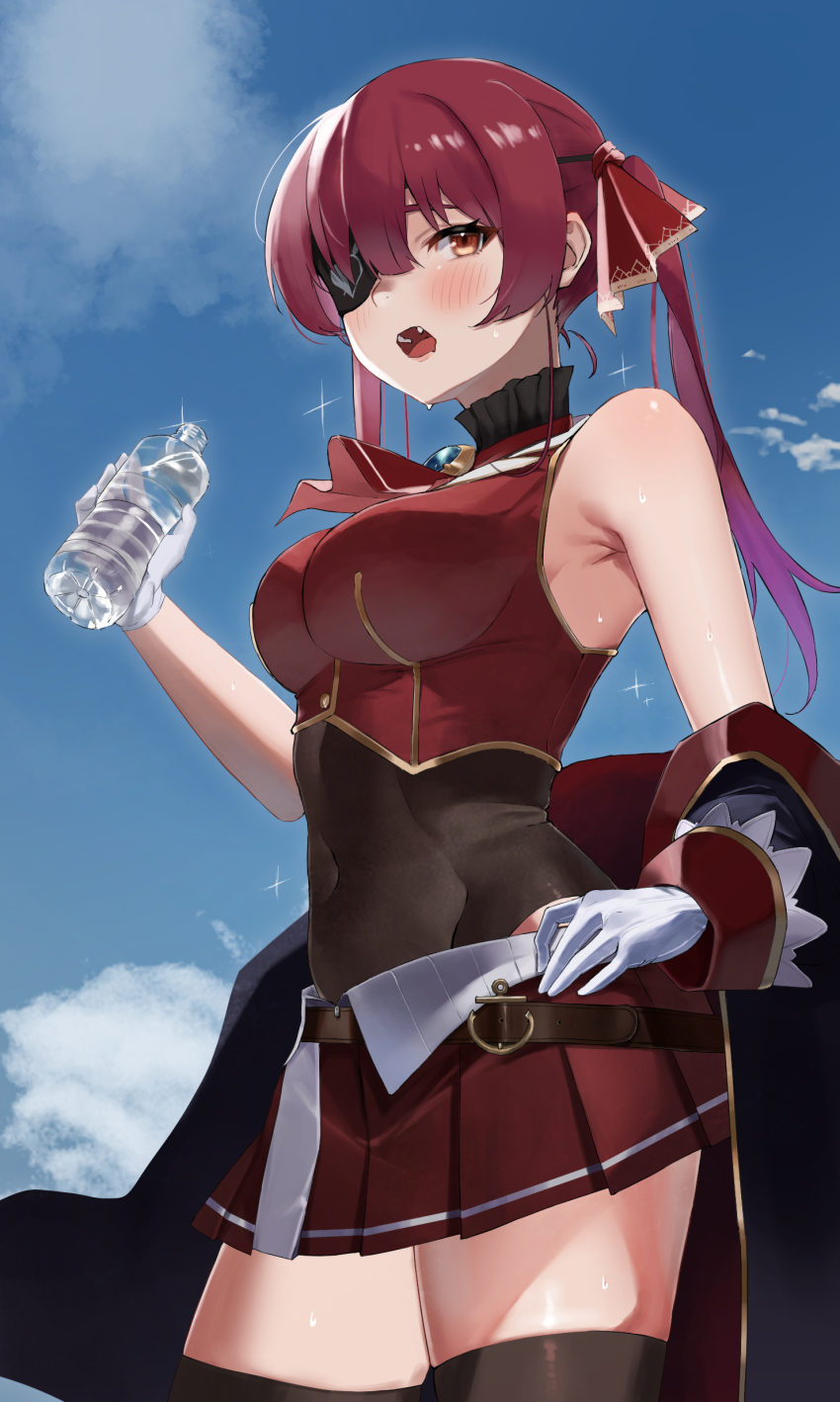 Houshou Marine (Hololive) Rule 34 Image