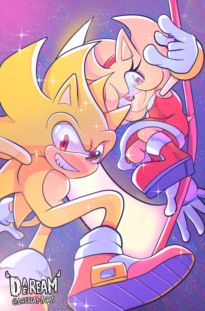 Amy Rose (Sonic (Series)) Rule 34 Image