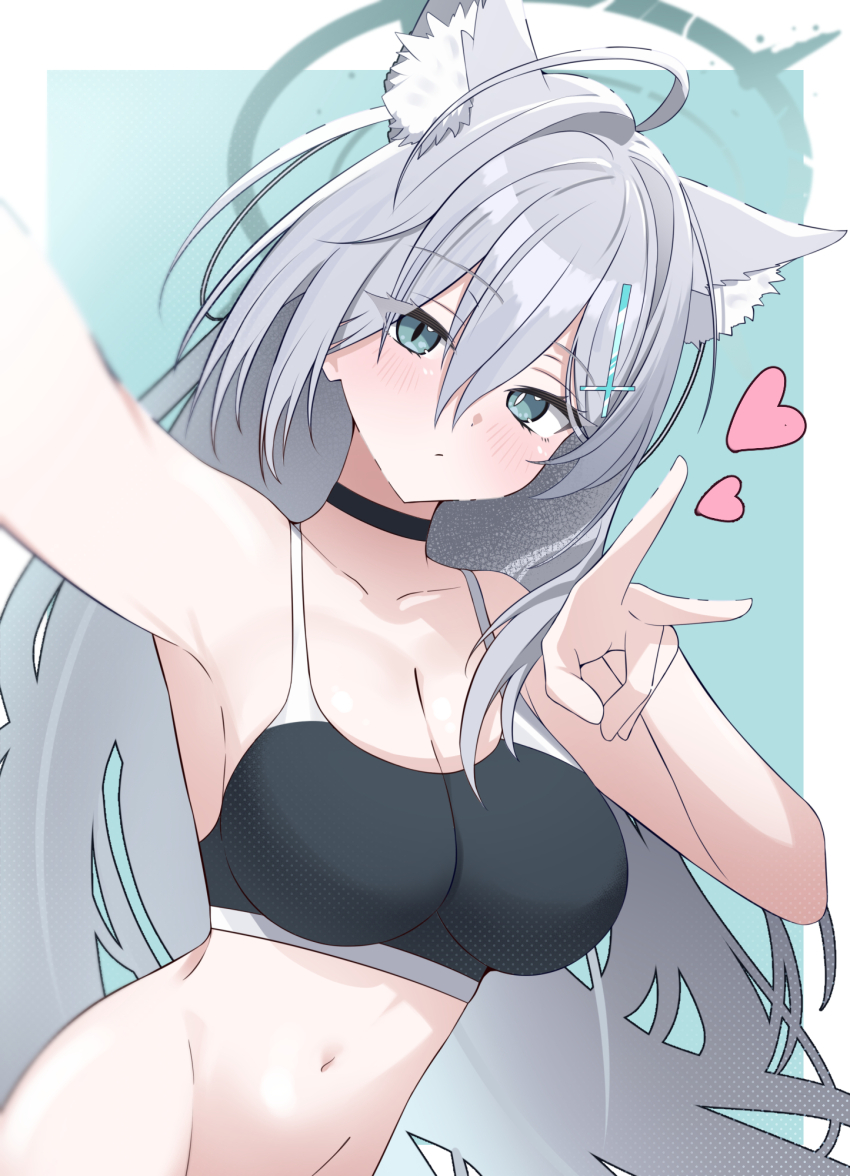 Shiroko Terror (Blue Archive) Rule 34 Image