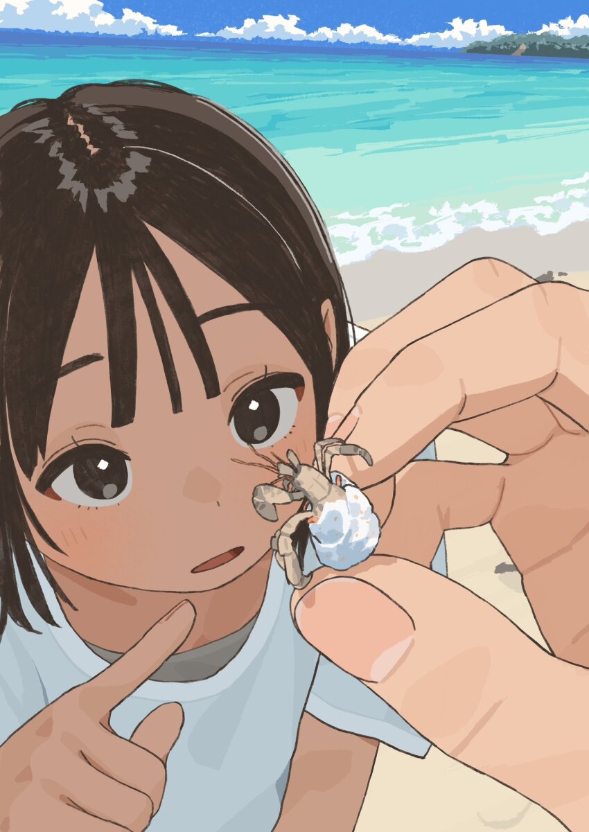 Hermit Crab (Original) Rule 34 Image