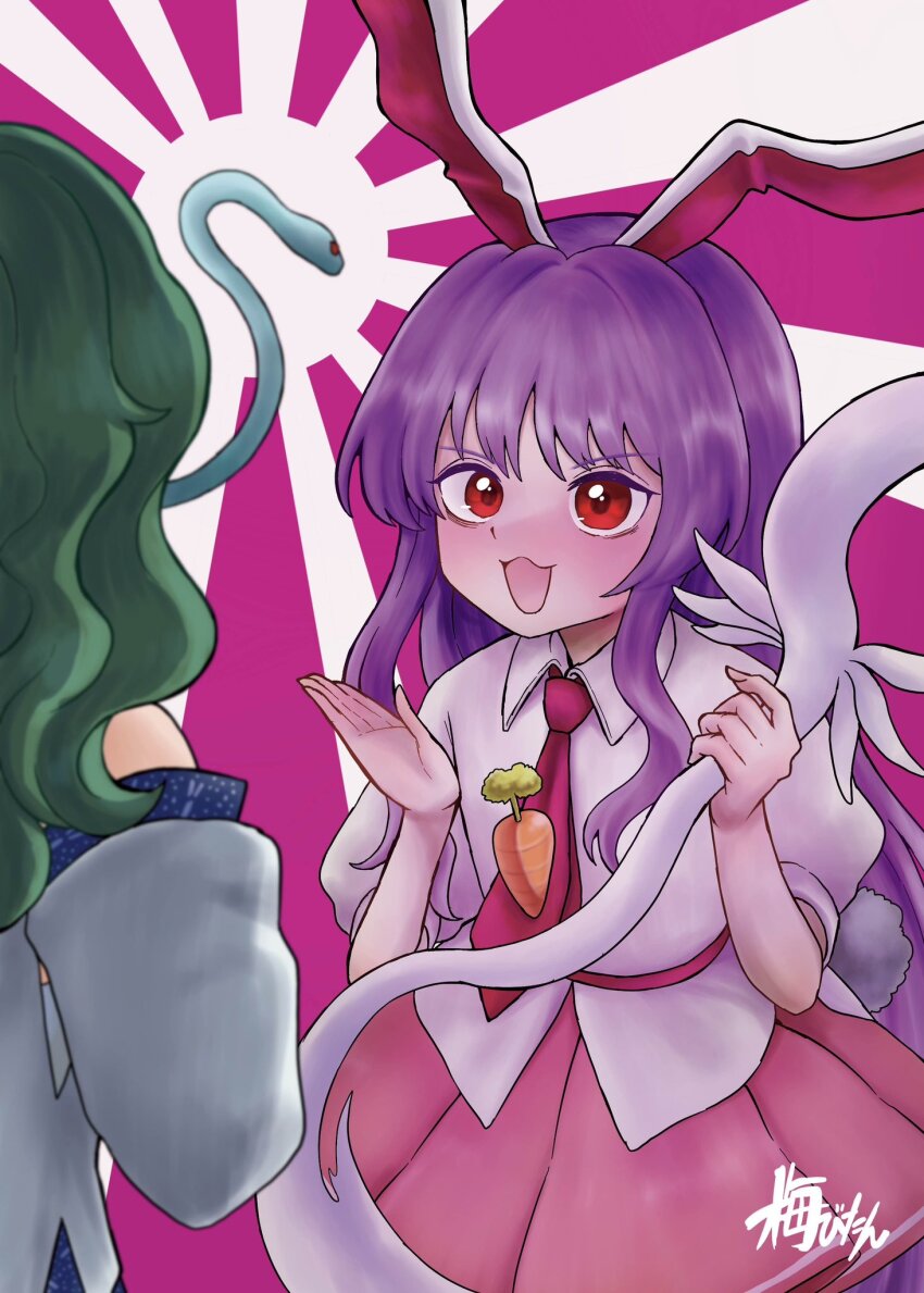Kochiya Sanae (Chinese Zodiac) Rule 34 Image