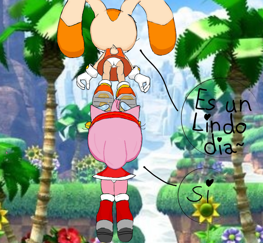 Amy Rose (Sega) Rule 34 Image