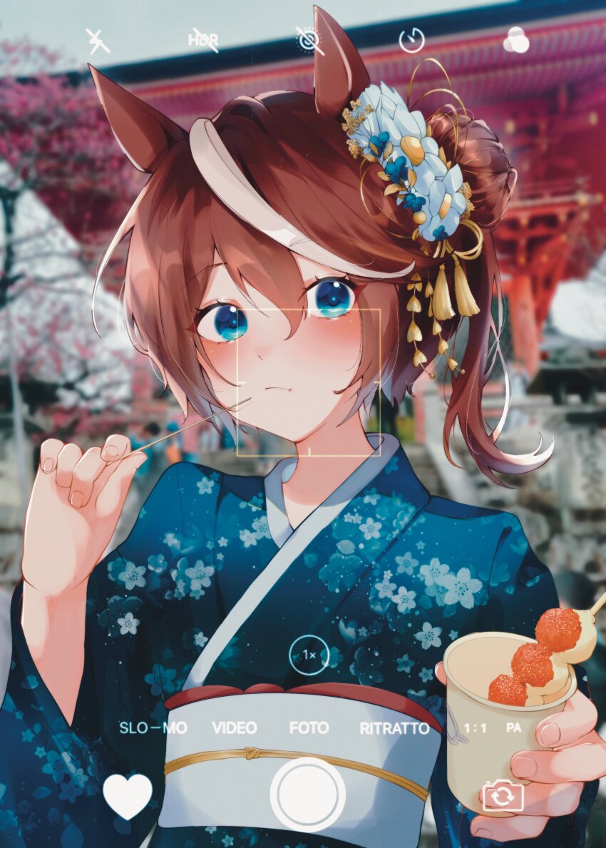Tokai Teio (Umamusume) Rule 34 Image