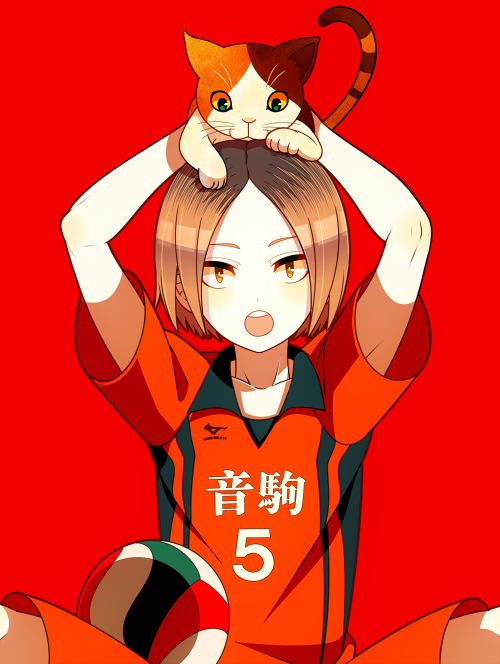 Haikyuu!! Rule 34 Image