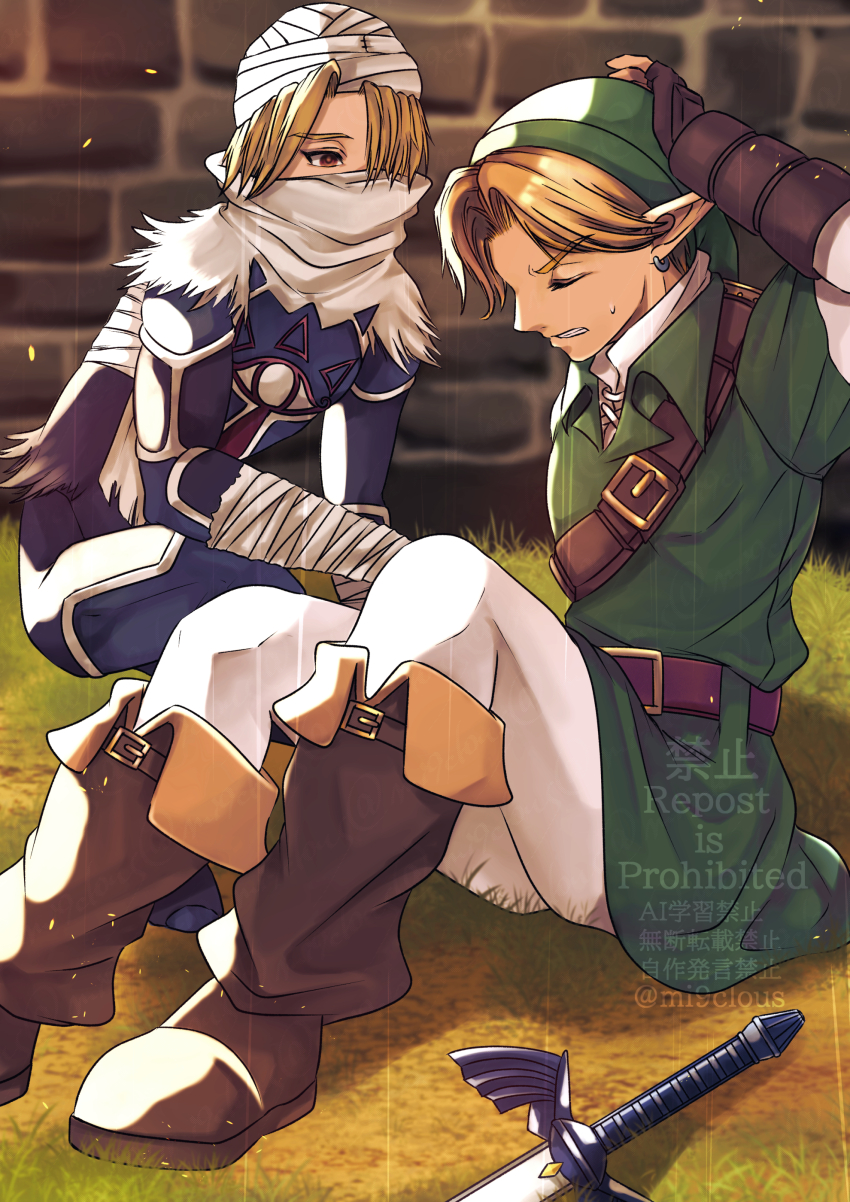 Link (Nintendo) Rule 34 Image