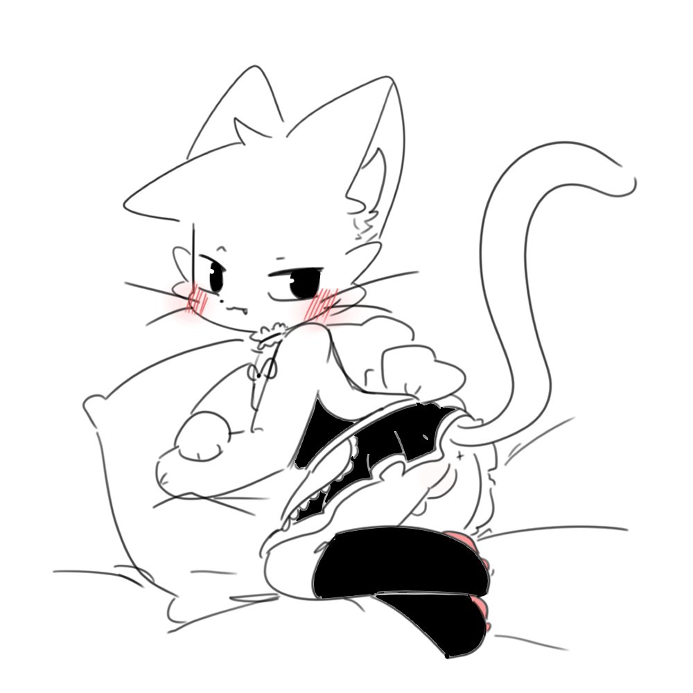 Boykisser Rule 34 Image