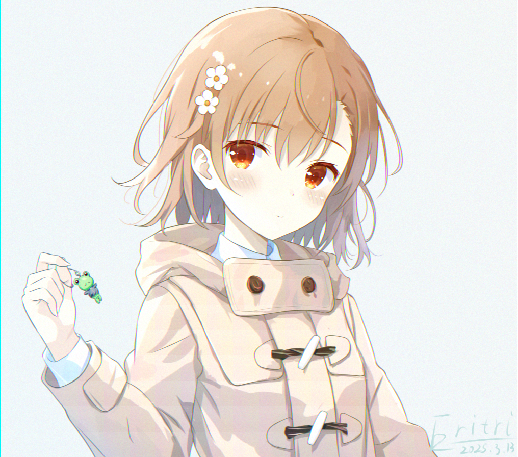 Gekota (Toaru Kagaku No Railgun) Rule 34 Image