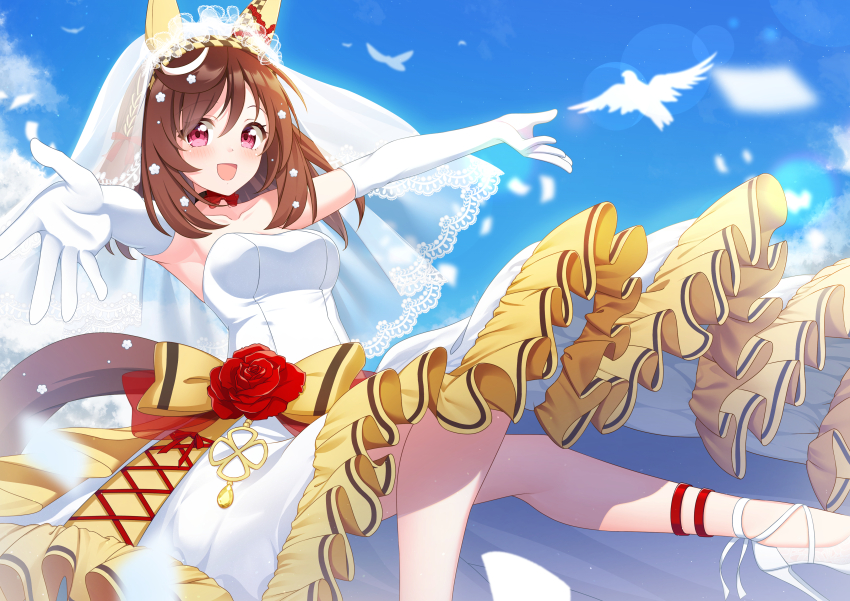 Buena Vista (Umamusume) Rule 34 Image