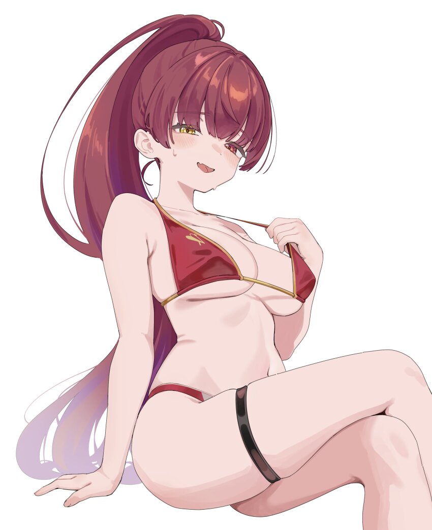 Houshou Marine (Hololive) Rule 34 Image