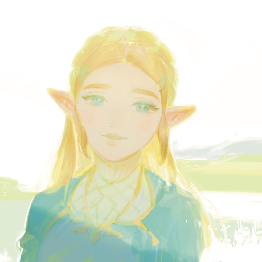 Princess Zelda (Nintendo) Rule 34 Image