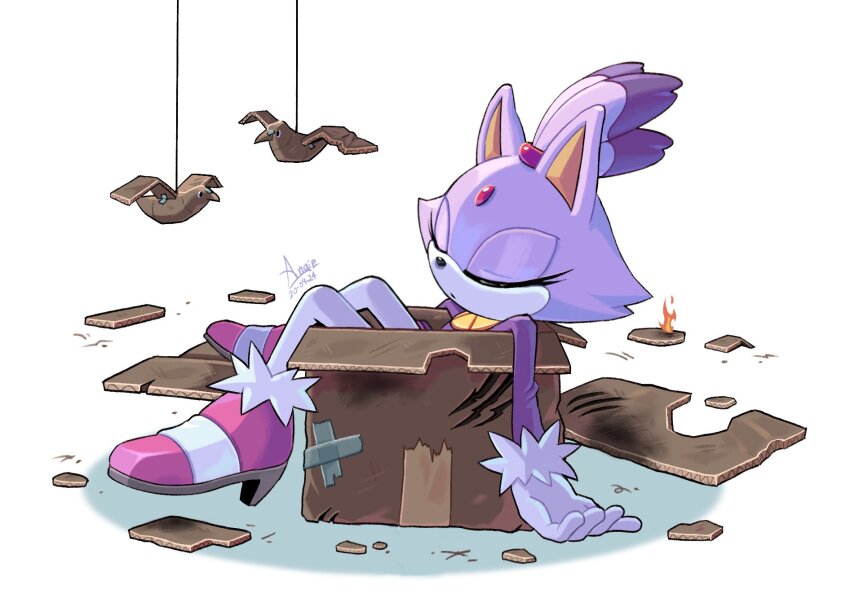 Blaze The Cat (Sonic (Series)) Rule 34 Image
