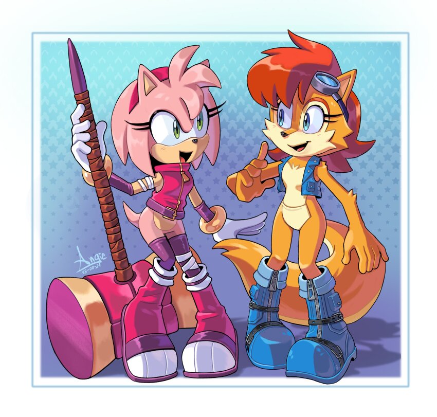 Amy Rose (Sonic (Series)) Rule 34 Image