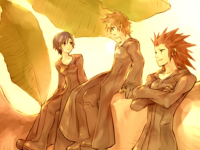 Axel (Kingdom Hearts) Rule 34 Image
