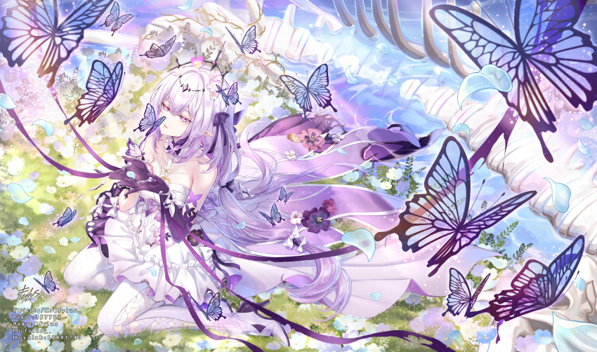Castorice (Honkai: Star Rail) Rule 34 Image