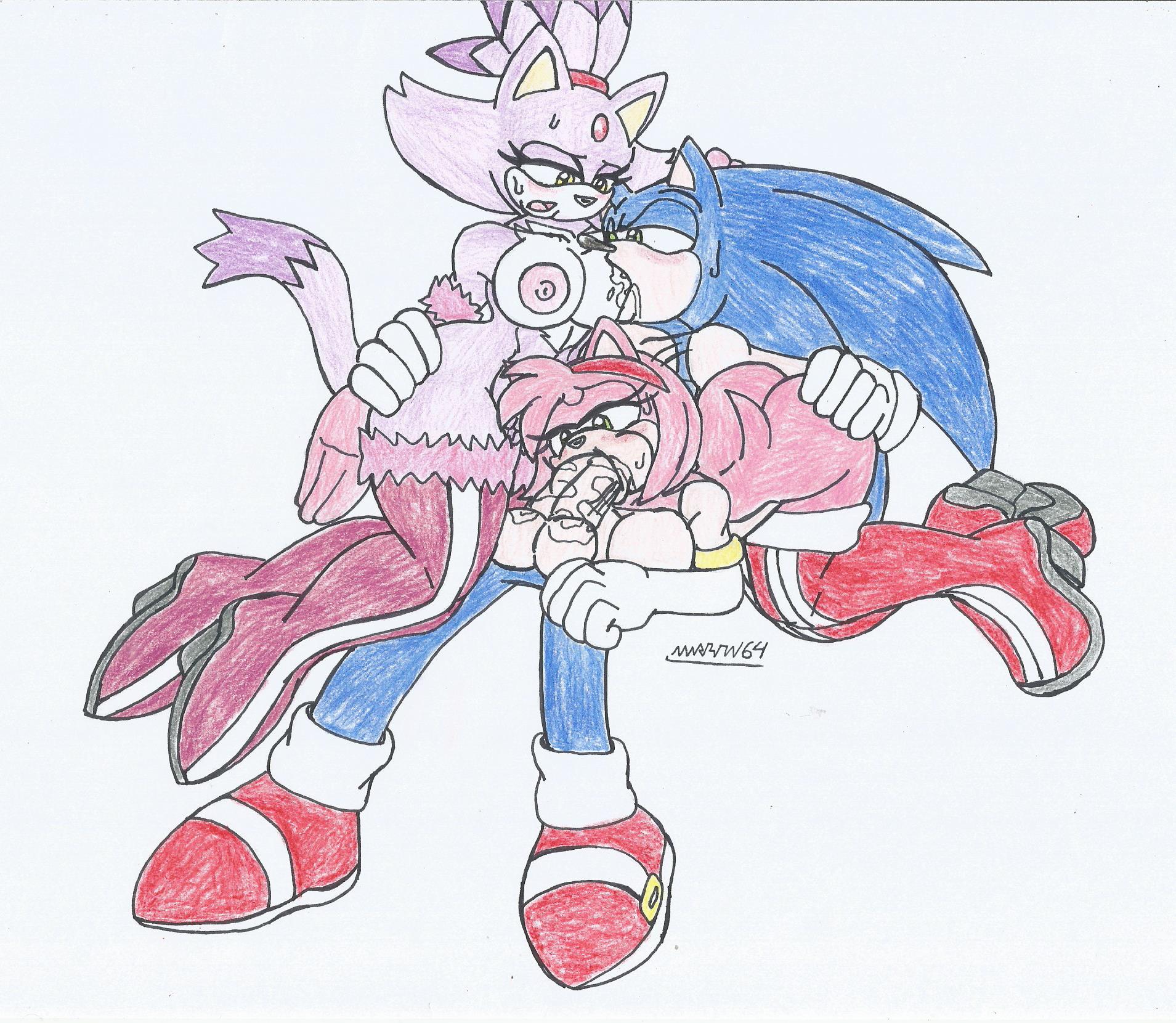 Amy Rose (Sonic (Series)) Rule 34 Image