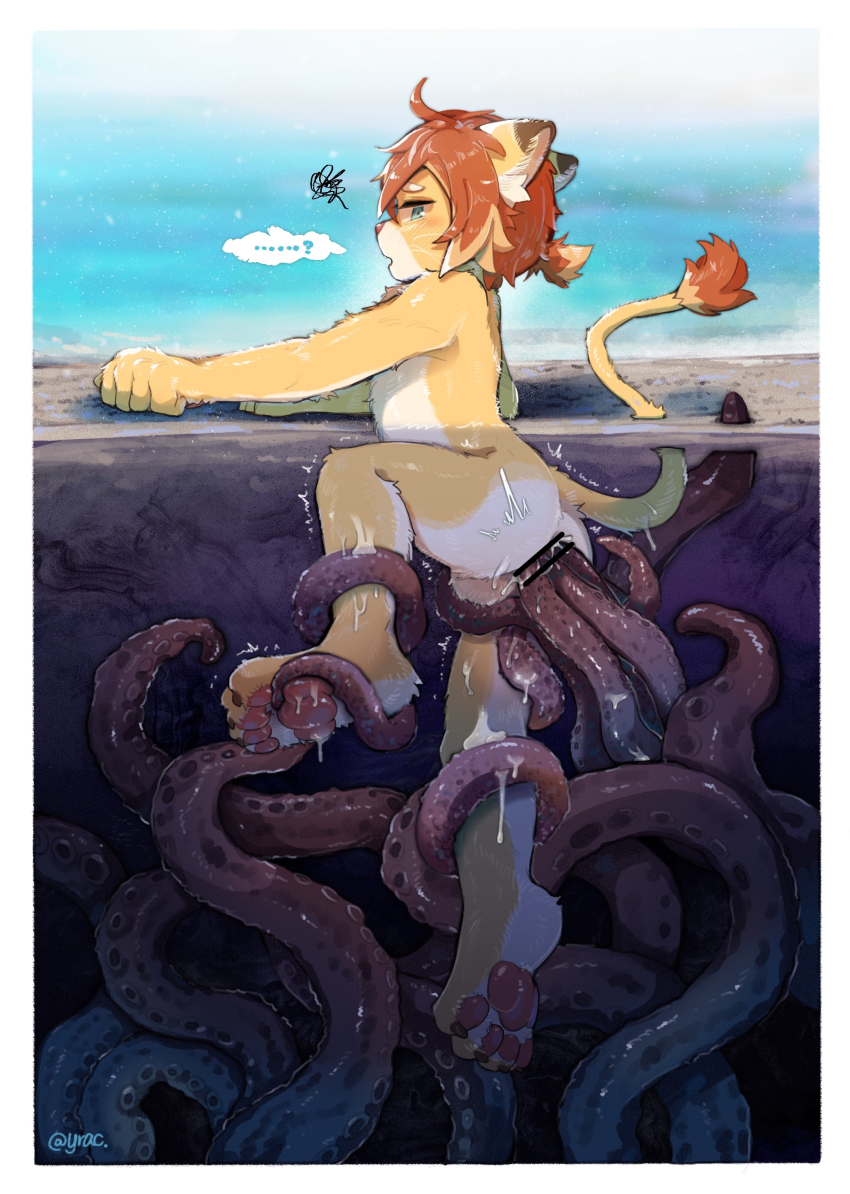 World Flipper Rule 34 Image