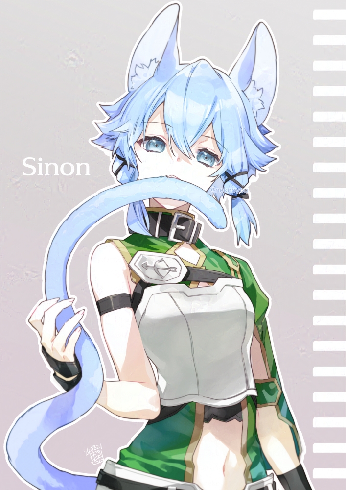 Sinon (Sword Art Online) Rule 34 Image