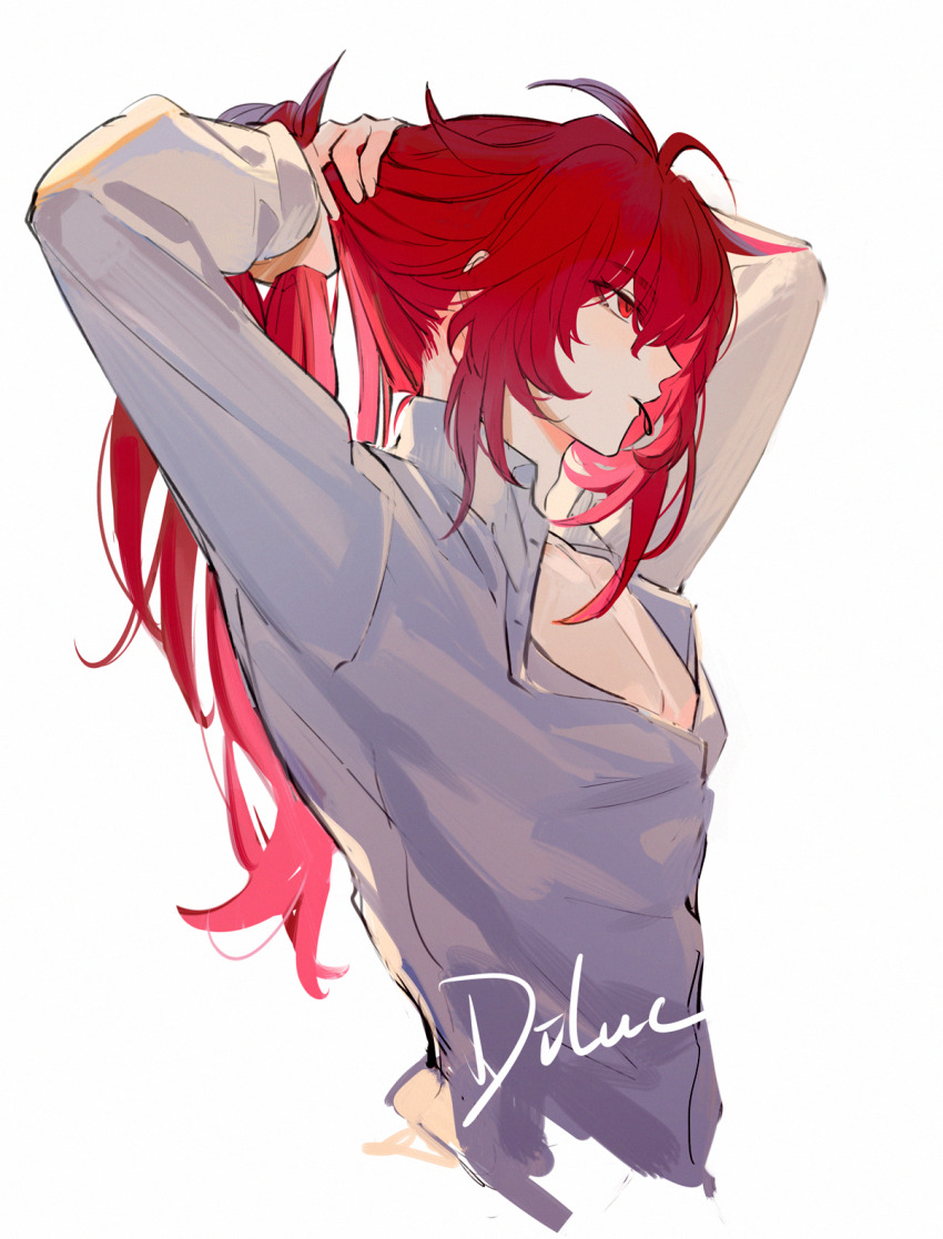 Diluc (Genshin Impact) Rule 34 Image
