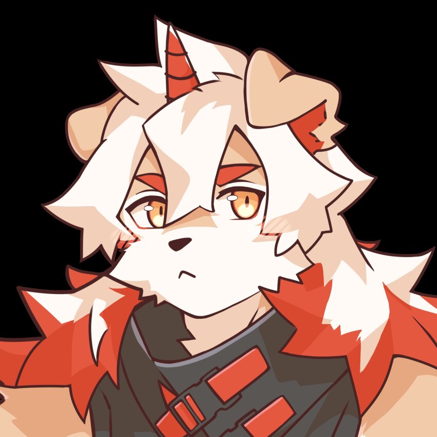 Hung (Arknights) Rule 34 Image