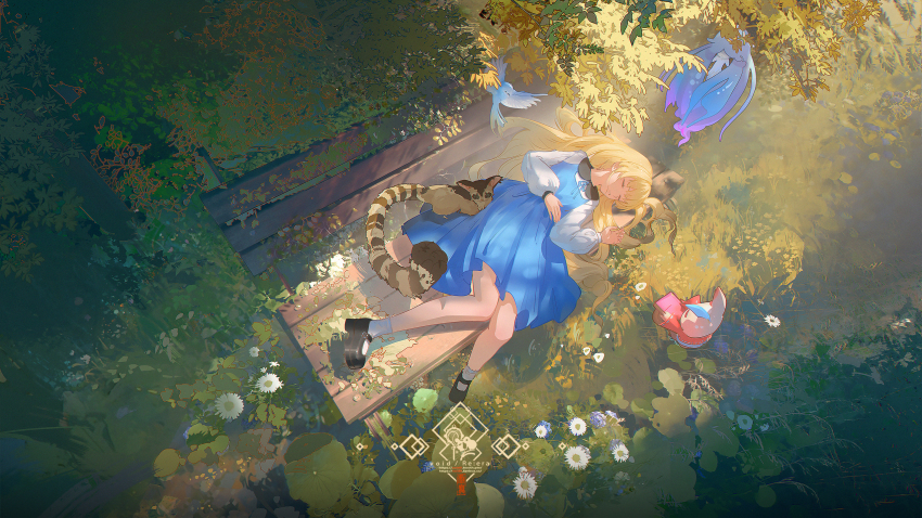 Phoebe (Wuthering Waves) Rule 34 Image