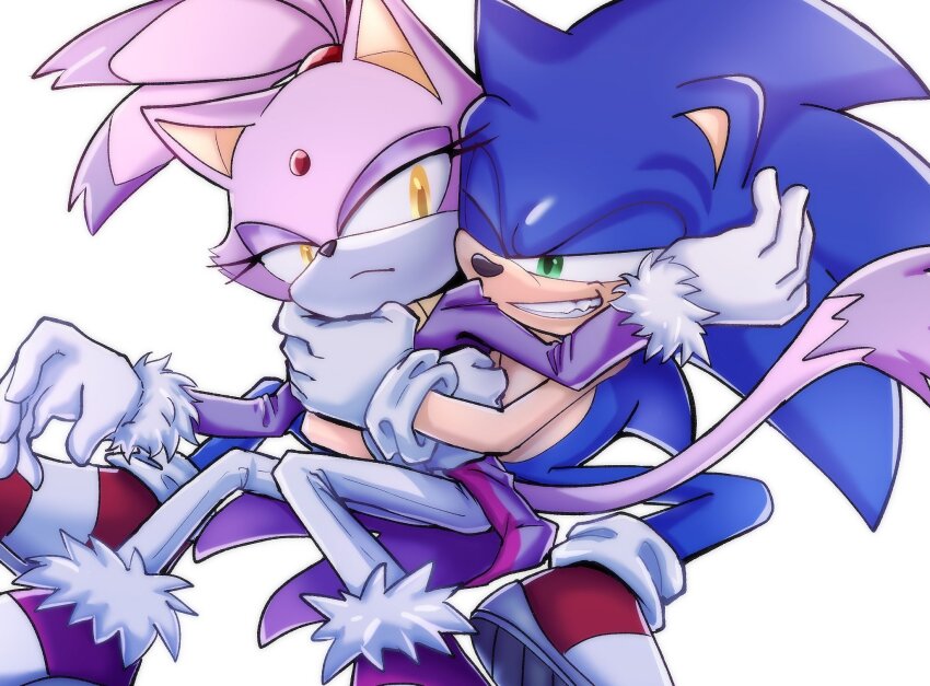 Blaze The Cat (Sonic (Series)) Rule 34 Image