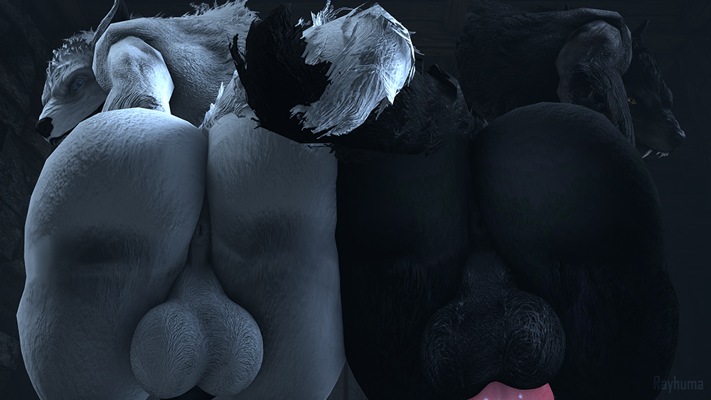 Animal Genitalia Rule 34 Image