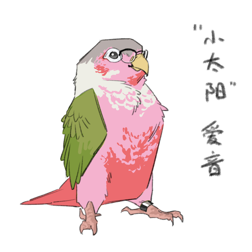 Chihaya Anon (Bang Dream!) Rule 34 Image