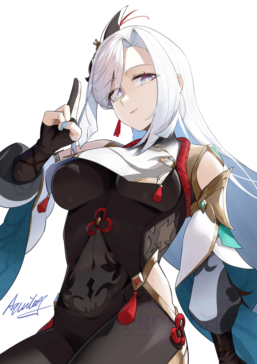 Shenhe (Genshin Impact) Rule 34 Image