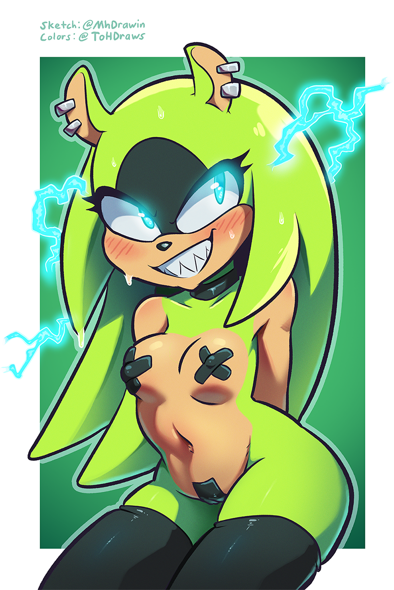 Surge The Tenrec (Sega) Rule 34 Image